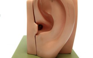 korekcja uszu