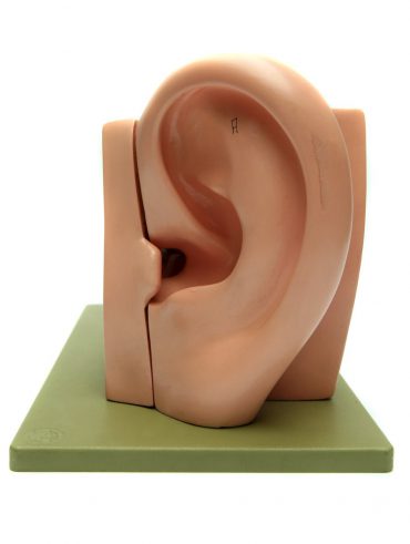 korekcja uszu